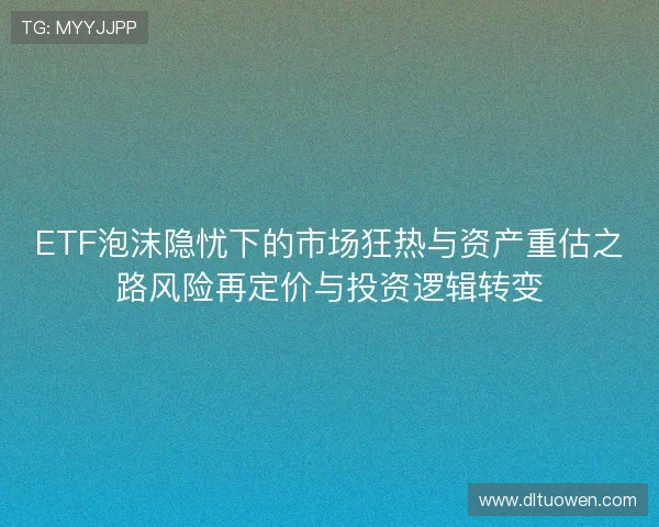 ETF泡沫隐忧下的市场狂热与资产重估之路风险再定价与投资逻辑转变